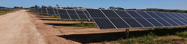 gunnedah-solar-farm-environmental-impact